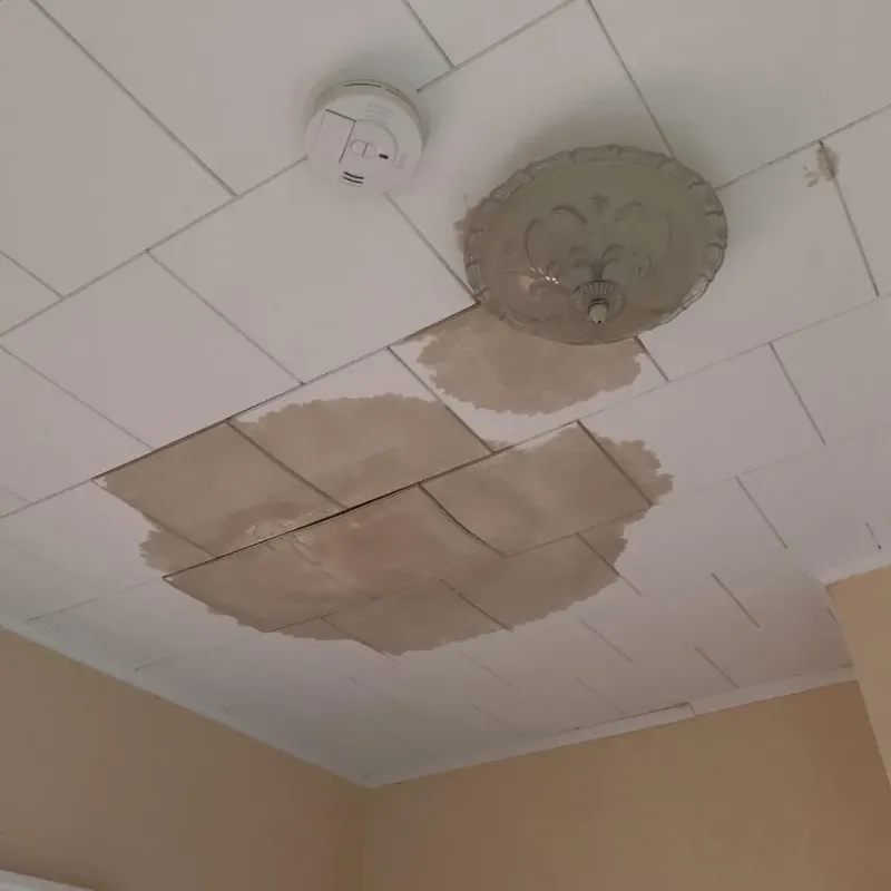 Ceiling Water Damage Repair in Bridgetown, OH