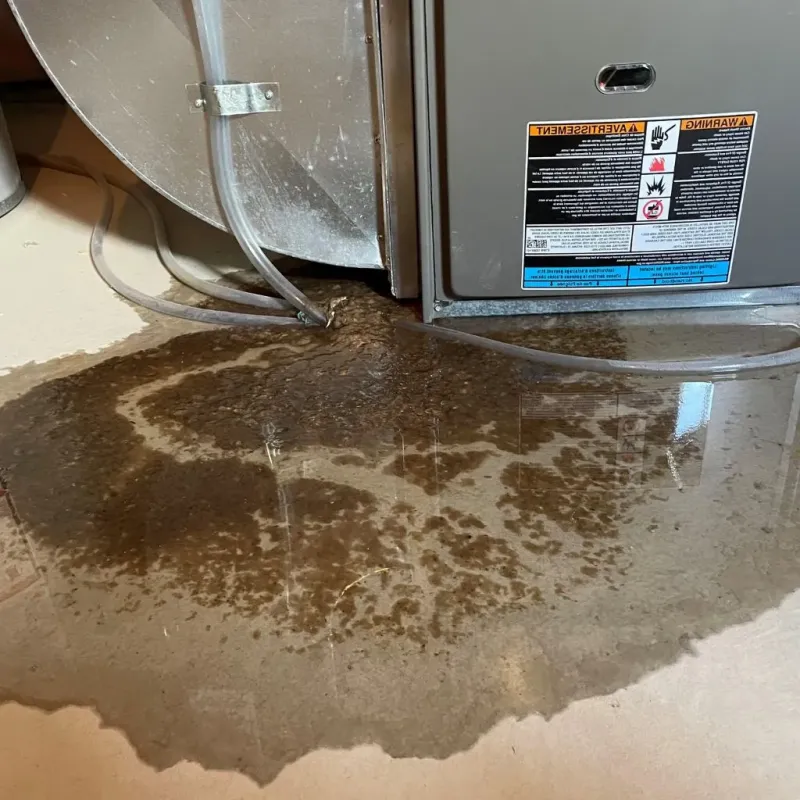 Pipe Burst and Leak Restoration in Bridgetown, OH