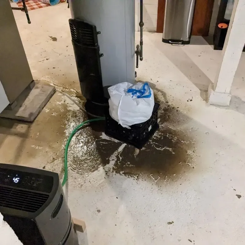 Sewage Backup Cleanup Service in Bridgetown, OH